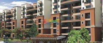 BZX Property