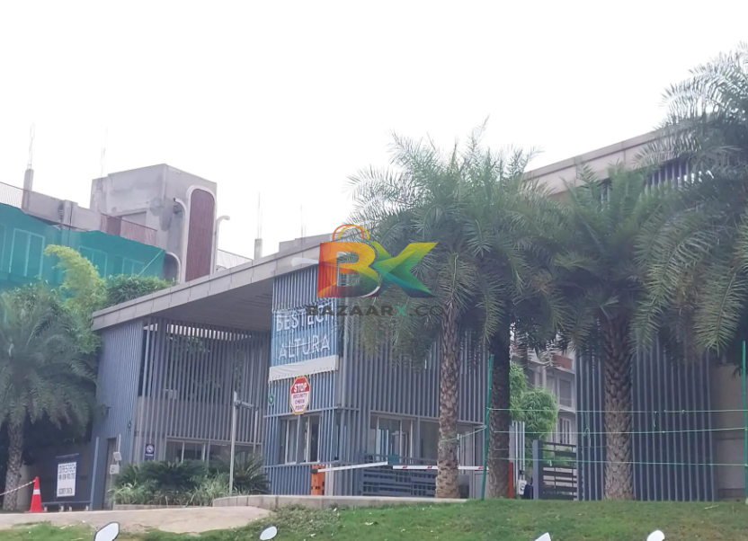 BZX Property