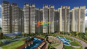 BZX Property