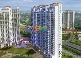 BZX Property