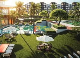 BZX Property