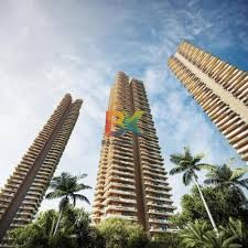 BZX Property