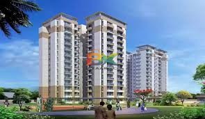 BZX Property