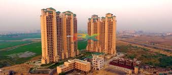 BZX Property
