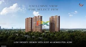 BZX Property