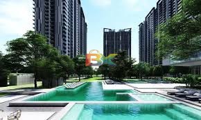 BZX Property