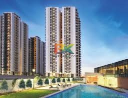 BZX Property