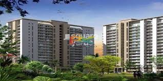 BZX Property