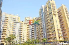 BZX Property