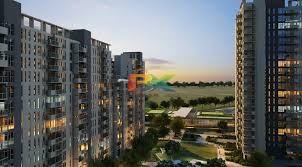 BZX Property