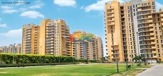 BZX Property