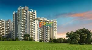 BZX Property