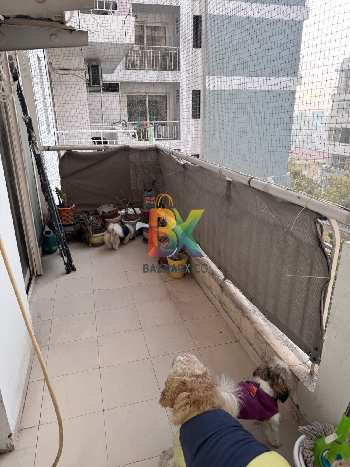 BZX Property