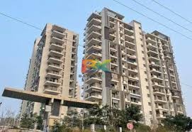 BZX Property