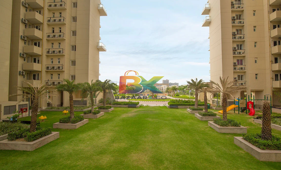 BZX Property