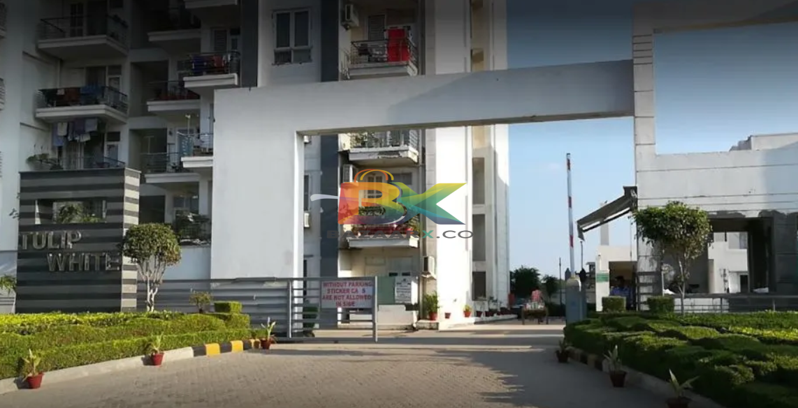 BZX Property
