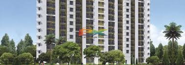BZX Property