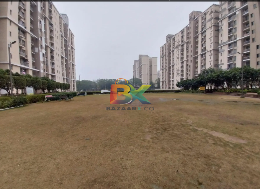 BZX Property