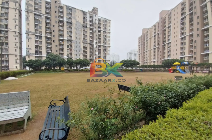 BZX Property