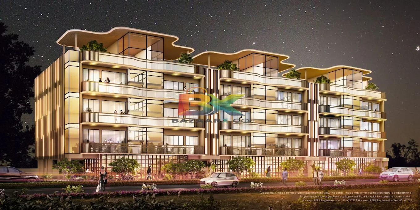 BZX Property