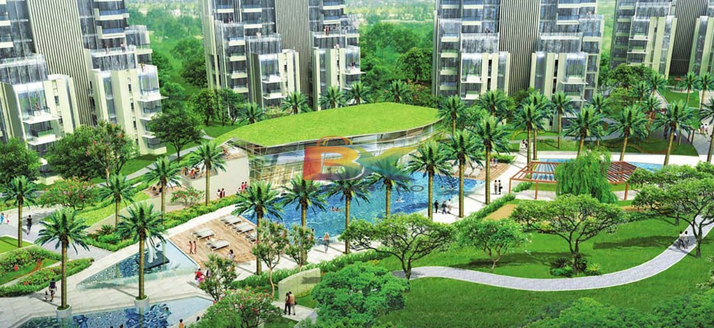 BZX Property