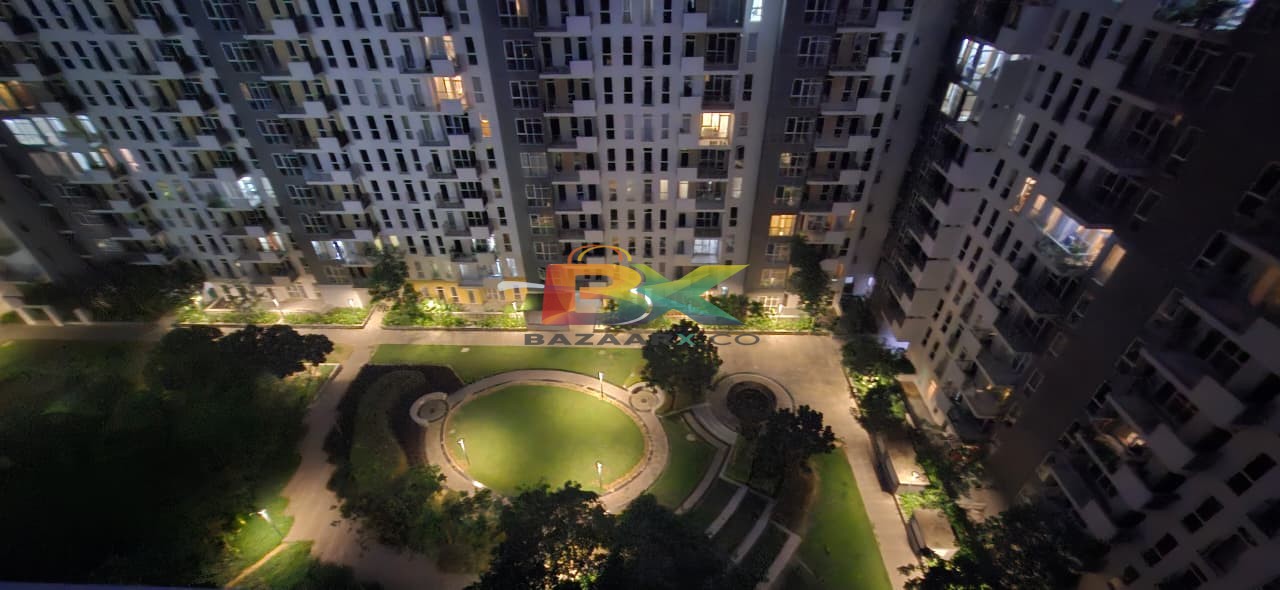 BZX Property