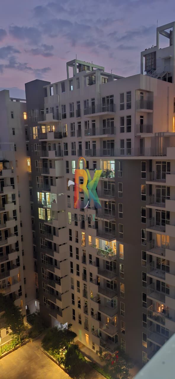 BZX Property