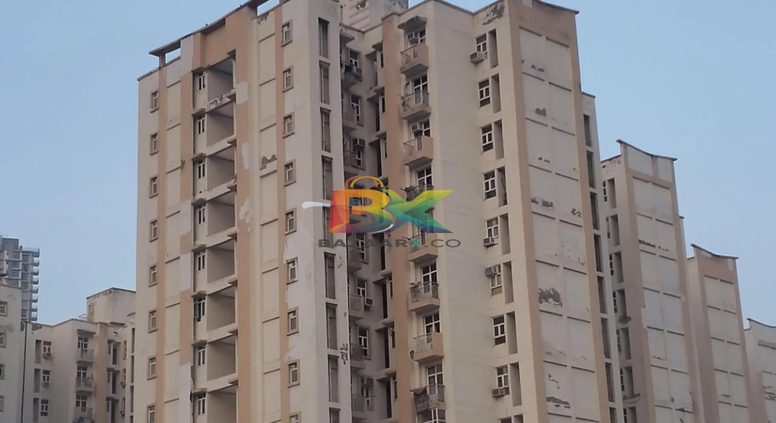 BZX Property