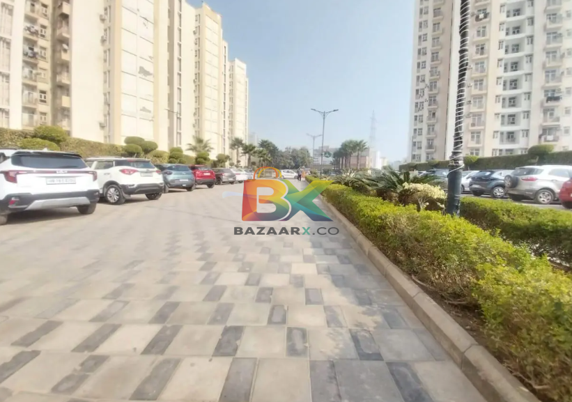 BZX Property