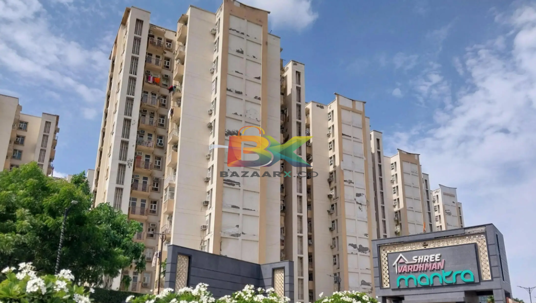 BZX Property