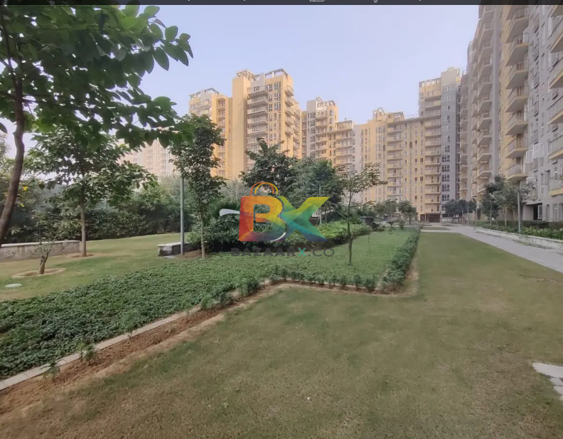 BZX Property