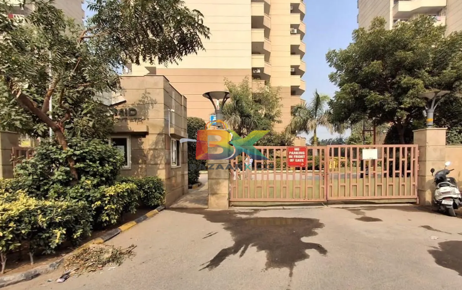 BZX Property