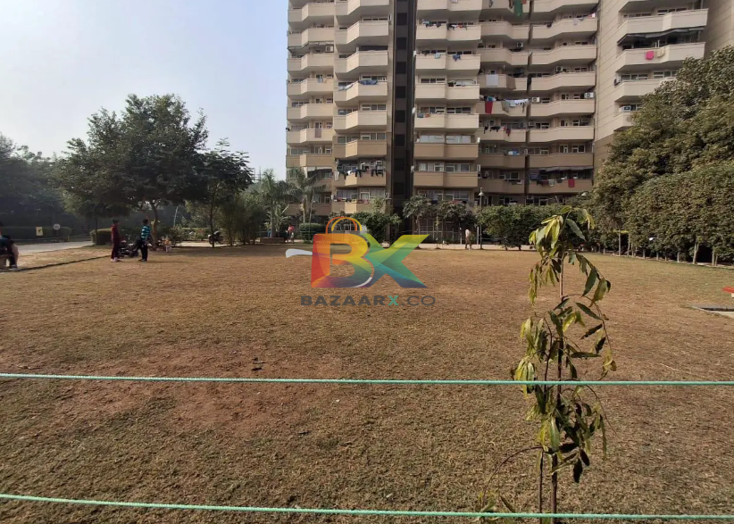 BZX Property