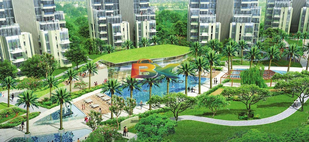 BZX Property