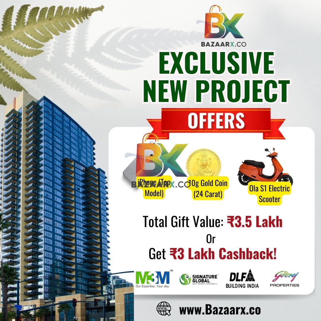 BZX Property