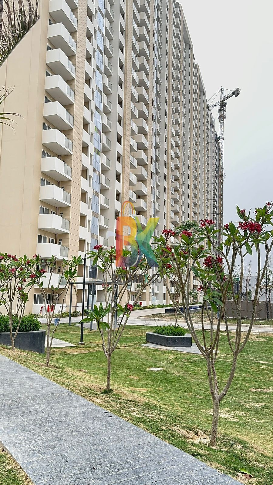 BZX Property