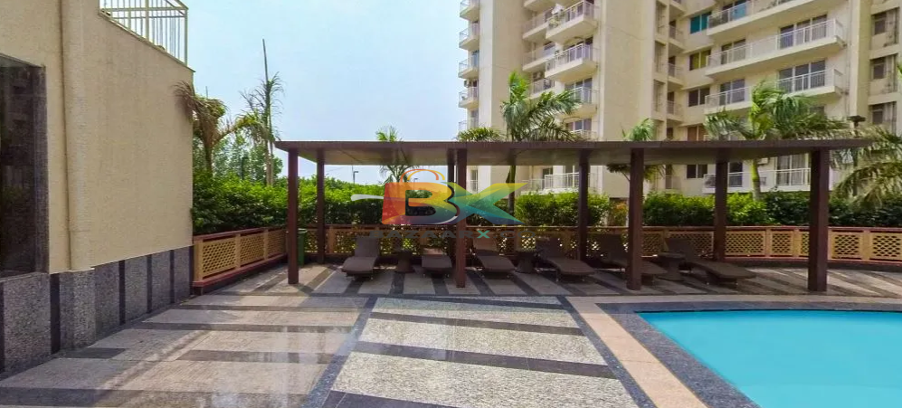 BZX Property