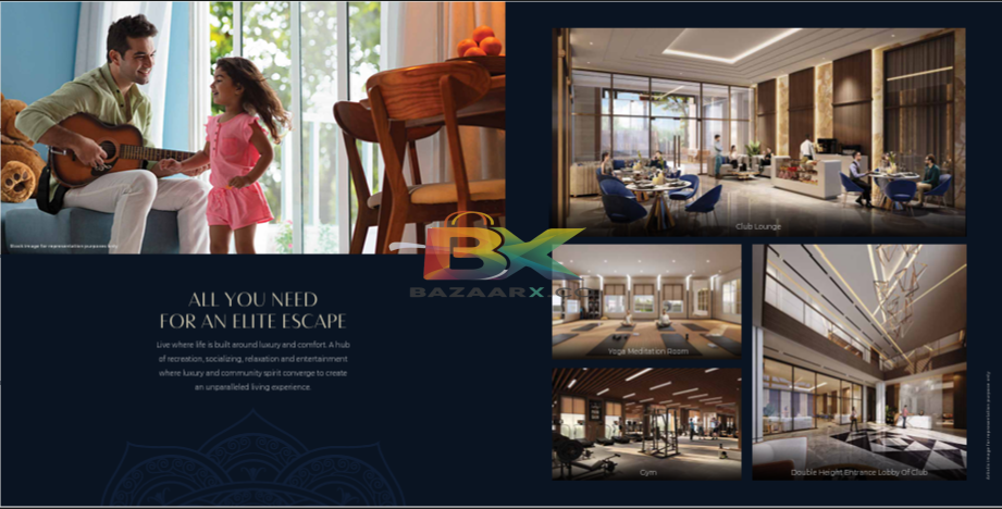 BZX Property