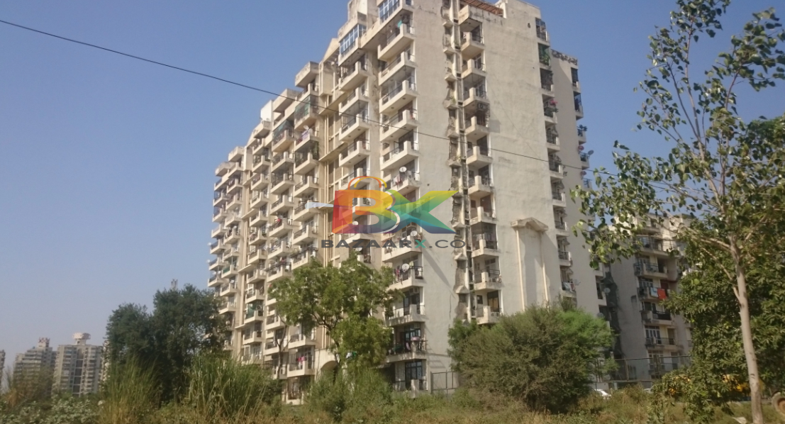 BZX Property