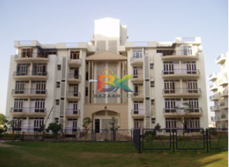 BZX Property