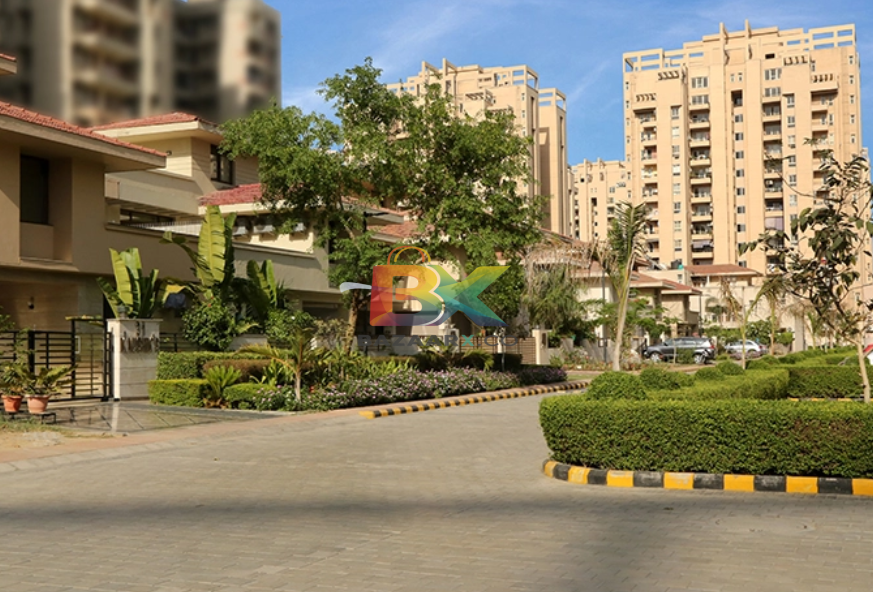 BZX Property