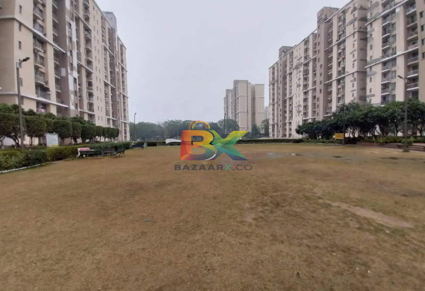 BZX Property