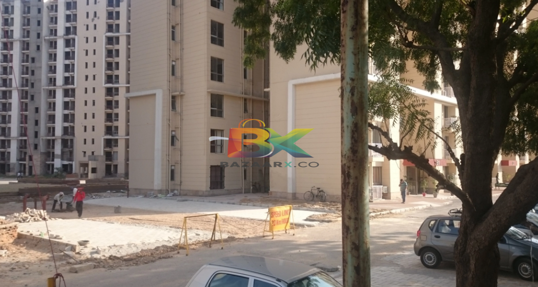 BZX Property