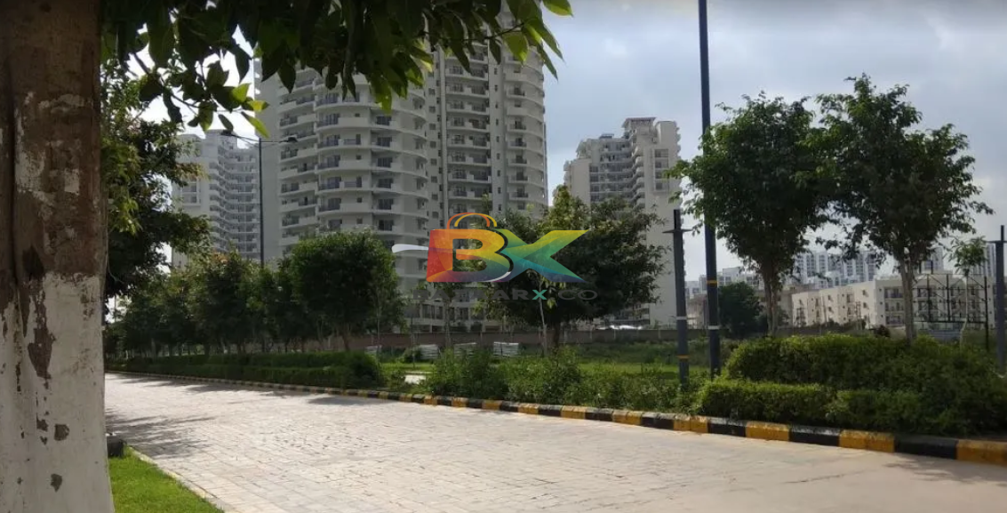 BZX Property