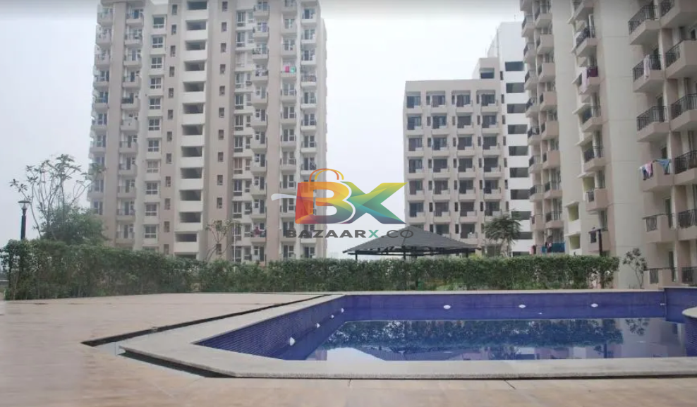 BZX Property