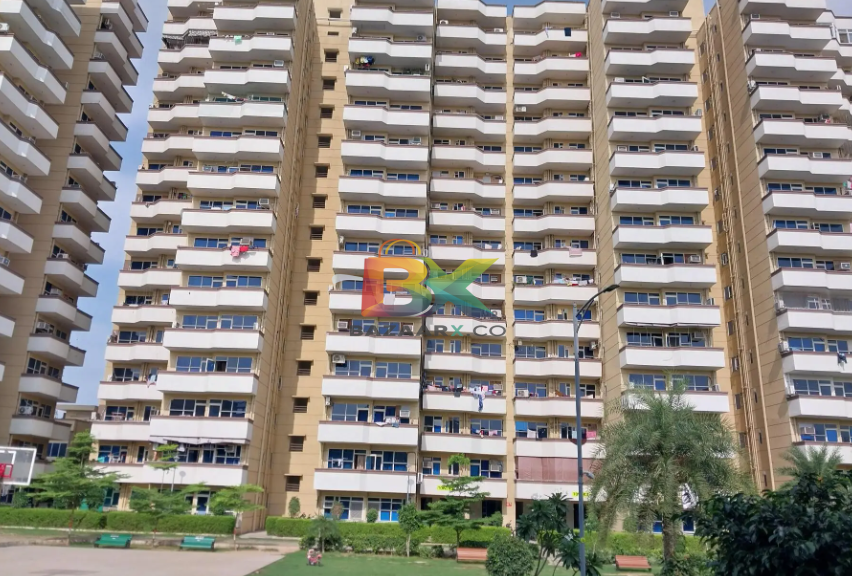 BZX Property