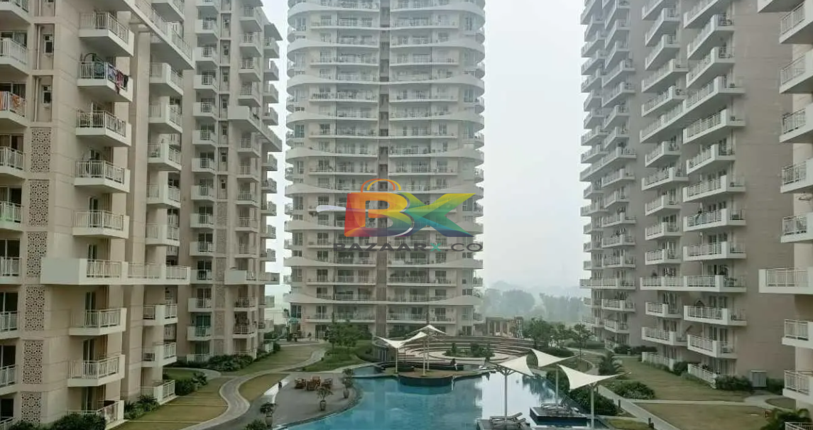 BZX Property