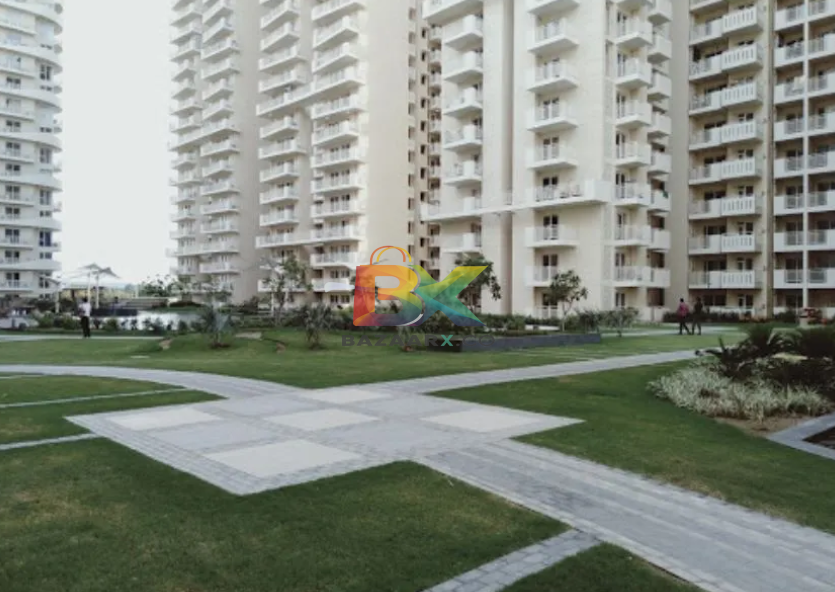 BZX Property