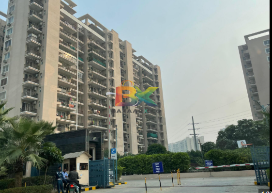 BZX Property