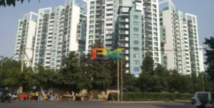 BZX Property